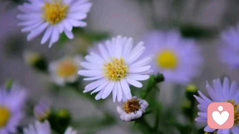 什么是“不配得感”