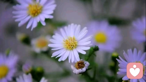 每一件事情，最终都会变成一个人的生理状态