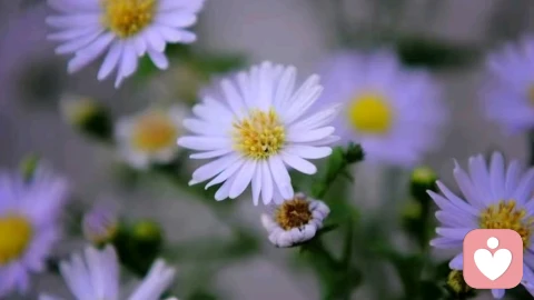 爱情的意义，从来不是拥有对方，而是唤醒自己