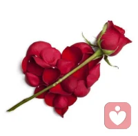 原生家庭不幸福，抗拒婚姻怎么办？
 
面对原生家庭带来的阴影，选择逃避婚姻其实是内心在自我保护，这完全可以理解。疗愈是一个过程，我们可以从认知和行动两个层面逐步改善。
 
一、认知重构：把“宿命”还原为“经历”
 
首先，请停止自责。不想结婚不是缺陷，而是你对伤害的本能警惕。
 
你可以试着做一个简单的练习：拿出一张纸，中间画条线。左边写下你厌恶的父母相处模式——比如争吵、冷漠、控制；右边写下你理想中伴侣相处的样子——比如平和、理解、支持。对比之后你会发现，你逃避的只是左边的剧本，而非右边的风景。你并非排斥幸福，只是排斥那种让你痛苦的模式。意识到“我可以选择不同的活法”，是疗愈的开始。
 
二、行为疗愈：在安全范围内重建信任
 
对婚姻的不信任，往往源于对人际关系缺乏安全感。可以从小处着手，重新建立对“人”的信心：
 
1. 积累微小的正向体验：试着结交一两个真诚的朋友，在安全的友谊中学习信任；也可以养宠物，体验无条件的陪伴。这些温暖会慢慢覆盖过去的冰冷记忆。
2. 接触“健康范本”：有意识地观察身边那些相处和睦的夫妻。你会发现，亲密关系也可以是相互扶持、平静温暖的。
3. 把焦点放回自身：暂时放下“要不要结婚”的纠结，先专注于把自己活成一个完整、舒展的人。当你不再急切地寻找救命稻草，反而能更从容地辨别谁是真正合适的伴侣。
 
最后请记住：治愈的标准不是“终于结婚了”，而是你拥有了选择的能力——可以选择结婚，也可以选择不结，并且无论选哪种，都能过得幸福笃定。先修补好自己，再去遇见谁，顺序不要乱。配图