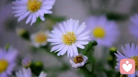 怎样才能让一个人对你好，发自内心的尊重你？