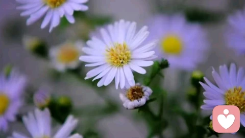 停止内耗，你越盯着他痛苦，他越要拖垮你