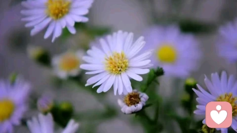 过度付出，会破坏关系