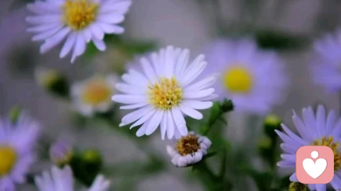 荣格：人生是用来体现的，不是用来演绎完美的