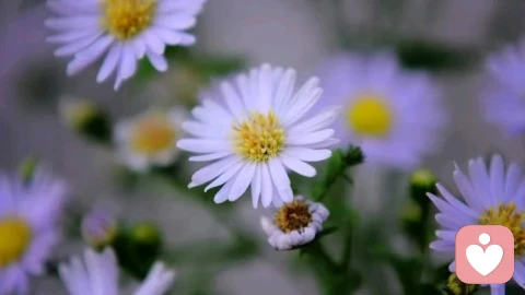 清关过后，人生尽是自由