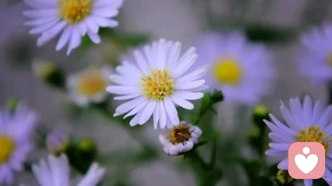 荣格：那些对你“指指点点”的人，其实是在通过你排泄他们内心的“阴影”