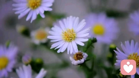 向下兼容的关系最累，认知太低的人最难伺候