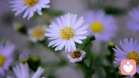 过度分析自己也是一种创伤