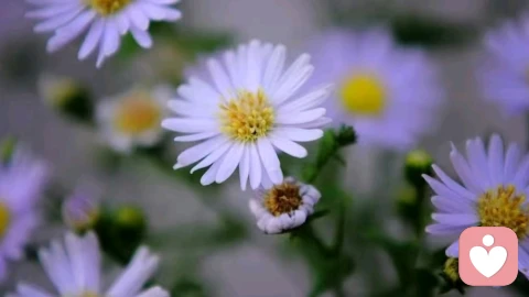 缺乏主体性,拒绝别人都需要充分理由