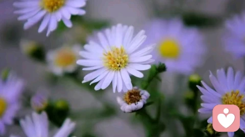 读懂情绪，解锁疗愈的关键密码