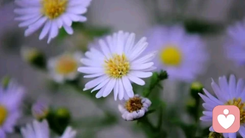 人容易紧张,是因为自我工具化