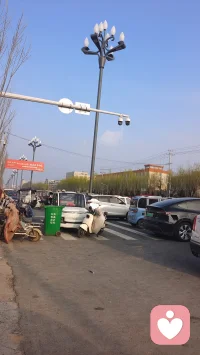 对于普通人来说，一生最重要的功课就是学会接受自己。配图