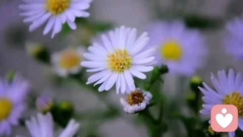 不搭理，是一个人顶级的底气