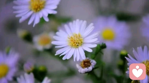 不要反复“咀嚼”不舒服的人和事