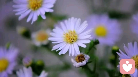 人生低谷时，最忌讳“想太多，做太少”