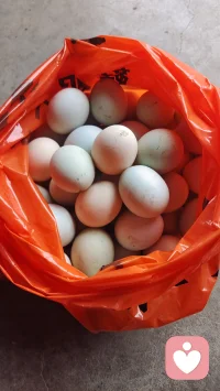 你才是自己唯一的靠山。
停止向外消耗，把能量留给成长，把真心留给双向奔赴的人。
 
当你开始好好保护自己的能量，世界反而会对你温柔。
 
如果你也是不愿手心向上的全职宝妈，
我们一起结伴搞钱，活出底气。
全职宝妈，亦能发光。配图