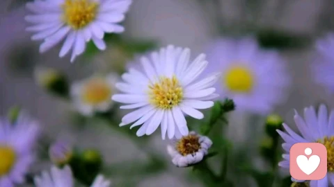 当你满身害怕时，试着换一个身份：做自己人生的责任者