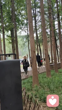 从今天起，做自己人生的责任者。
对情绪、对选择、对成长全权负责。
带着恐惧依然前行，
你终将活成自己最坚实的靠山。配图