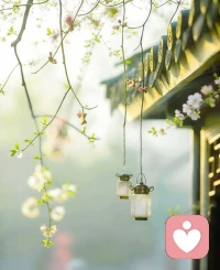 总在关系里被利用、被伤害，并非自身不够好、运气差，而是早年原生家庭的依恋创伤，无意识泛化到成年亲密关系、人际关系中，陷入强迫性重复的受伤循环。配图
