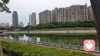 幸福的婚姻，都懂得适当示弱

很多人在婚姻里过得疲惫又辛苦，根源就是太过强势。遇事非要争对错、论输赢，受了委屈绝不退让，事事较真、句句反驳，习惯性硬扛一切，最后不仅自己内耗，也耗尽了伴侣的热情。

婚姻从来不是辩论赛，也不是博弈战场，不需要分出高低胜负。感情里最得不偿失的事，就是赢了道理，输了感情。过度强势、执念输赢、不肯低头，会让伴侣倍感压抑、无力疲惫，慢慢丧失沟通欲望，越来越疏远。

很多人误以为示弱是卑微妥协、是低头认输。其实婚姻里的示弱，是高情商的包容，是珍惜关系的通透。示弱不是讨好，是放下胜负欲，愿意为关系让步、主动修复矛盾、温柔包容彼此的不完美。

在亲密关系中，柔软永远比强硬更有力量。女人适度柔软，化解争执矛盾；男人适度退让，滋养家庭温度。不用事事苛刻较真，不必揪着缺点反复消耗。

没有天生完美的婚姻，只有双向迁就的两个人。放下强势与执念，彼此包容、互相滋养，才能经营出松弛温暖、长久安稳的幸福婚姻。配图