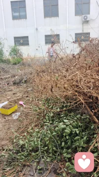 孩子的现状暴露了家庭教育的成败

孩子出现行为偏差，从来不是偶然，而是家庭教育最真实的折射。十六岁孩子过早突破身心边界、不懂自我保护，看似是叛逆任性，本质是家庭情感缺位、沟通缺失、成长引导不足所累积的结果。

青春期孩子极度渴望被理解、被陪伴、被接纳。可很多家庭教育只看重成绩，习惯用说教、管控、指责代替温柔沟通，忽视孩子的情感需求与内心感受。当孩子在家得不到安全感、温暖与认同，内心的孤独与空缺无处安放，就会本能向外索取情感寄托。

家庭教育最大的遗憾，从来不是孩子成绩的优劣，而是没能帮孩子建立清晰的人际边界、正确的两性认知和自爱自保的底线。多数家庭长期回避性教育与情感教育，让孩子分辨不清真心与敷衍，极易被外界廉价的关心迷惑，盲目付出、轻易妥协，最终伤害自己。

长期不平等的沟通、压抑的家庭氛围，会让亲子隔阂越来越深。孩子不敢倾诉困惑、不愿求助父母，只能独自摸索成长，很容易走入偏差的道路。

孩子是家庭的镜子，孩子的问题，根源大多在家庭。与其指责孩子难管教，不如向内反思：是否疏于陪伴、懒于沟通、缺失引导。唯有修复家庭的情感温度，放下说教、学会倾听，补齐成长教育的缺口，才能帮孩子建立底线、懂得自爱，慢慢回归正轨。配图