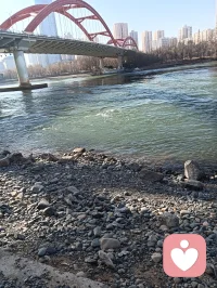 刚接完咨询，黄河边散会心