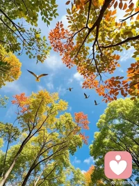 亲们本人倾听师倾听亲子关系，婚姻家庭，工作压力。