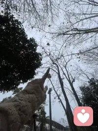 路不通的时候要拐弯，心不悦的时候要看淡。