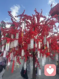 与其抨击丑恶，不如发现美好。配图