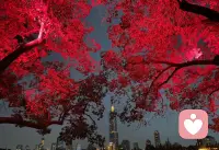 往事不提旧事清零 接下来请顺顺利利配图