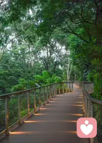 四月春风醉 雨沐皆清明配图