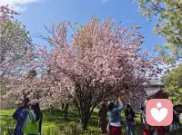 花点时间做你喜欢的事情，无论是画画还是听音乐，都能提升幸福感。