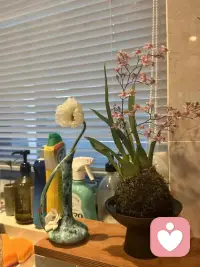 那些生命中的过客，或好或坏的记忆，都让你更好地认识了自己配图