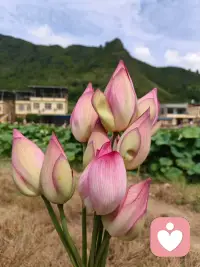 遇到那束光，或早或晚，加油！