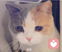  婆婆不是妈，这句话里藏着多少委屈和分寸。你不用逼自己“一碗水端平”，也不用强撑着“孝顺和睦”，先接住自己的情绪，比什么都重要。不用因为婆媳矛盾怀疑自己，也不用在家人的“和稀泥”里妥协。你的感受，值得被看见、被尊重。早安！