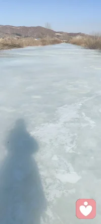 这条冰河，是我童年的乐园，是我成长的背景，更是我无论走多远，一想起就心安的归宿。我爱它冬日的清冷，更爱它骨子里的温暖；爱它此刻的寂静，更爱春天的重生。家乡的冰河，早已流进我的血脉，成为我一生都割舍不下的眷恋。配图