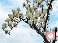 单位院子的花花
春天真的来了
要开心 要每天都很开心哦😃配图