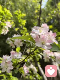 天气很好 
今天很好
每天都超级哇塞配图