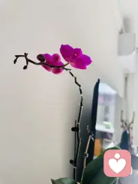 有些情绪像缠住的毛线球，自己越理越乱。也许，可以允许另一双手帮你轻轻找到线头