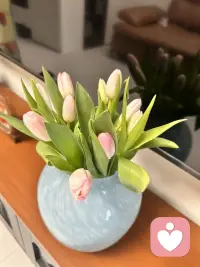 你内心安稳，感情才会安稳
见花如你