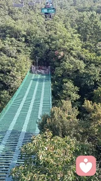 倾听师第十天
今天休息
全天在线配图