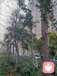 倾听师第十三天
今天全天都在
✌