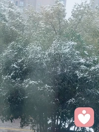 倾听师第十六天
今天又下雪了
开心
继续上班中...