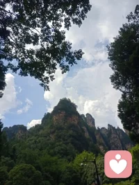 倾听师第十七天
持续搬砖👀