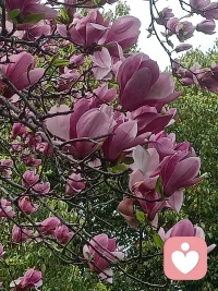 今天阳光明媚
感觉也慢慢好起来了
这次生病给我整无语了
感个冒像要命一样