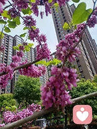 今天
搬砖快乐哦