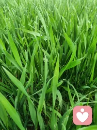 今天休息哦⊙∀⊙！配图