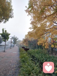 🔶真实的生活，

人生真实的生活是：人生有困难是当然，没有困难只是偶然！