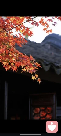 心慢慢沉淀，情绪自会温柔，接纳所有，日子就会慢慢亮起来✨配图