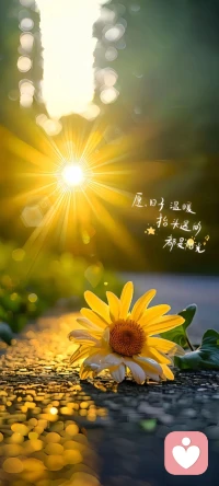 突然想撒娇，想闹人，想矫情，想释放小女人该有的样子，我们一想还是算了吧！我没有那个把我捧在手心里的人！现实生活中想找一个疼自己，爱自己的人，真的很难！配图